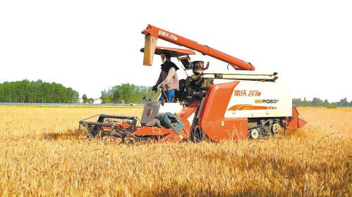 147臺(tái)聯(lián)合收割機(jī)出發(fā),輾轉(zhuǎn)多省小麥主產(chǎn)區(qū)收麥,歷時(shí)將達(dá)3個(gè)多月 千里追訪安陸 麥客