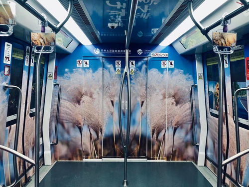 蘇州文青必去打卡 國內(nèi)首條全場(chǎng)景文化旅游特色線路蘇州軌交5號(hào)線開通